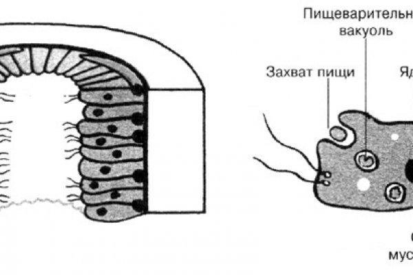 Как пополнить кошелек на кракене