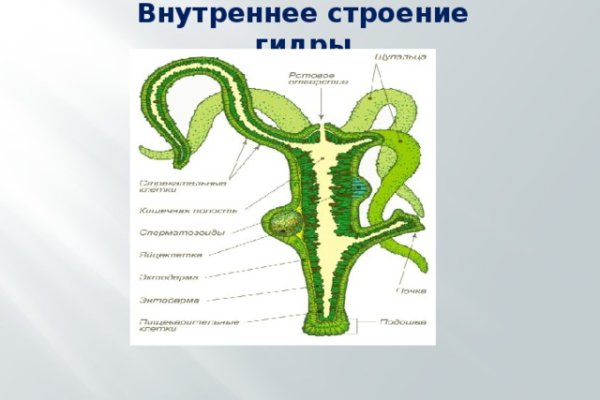 Кракен даркнет аккаунт