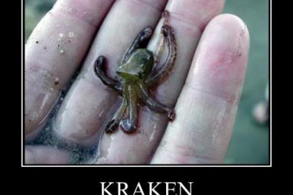 Kraken 17 at